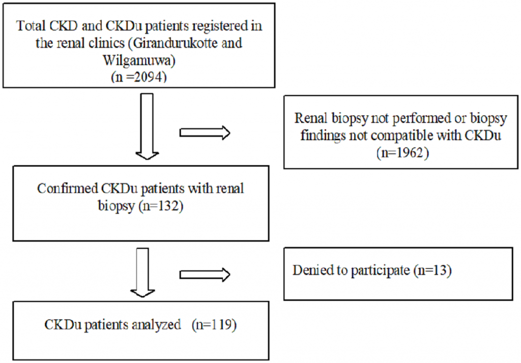 Fig 1. Flow chart of the study enrolment