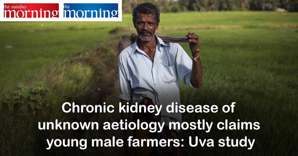 Chronic kidney disease of unknown aetiology mostly claims young male farmers: Uva study